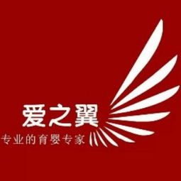 大連產(chǎn)后康復(fù)培訓(xùn)指南 課程、選擇與機(jī)構(gòu)推薦